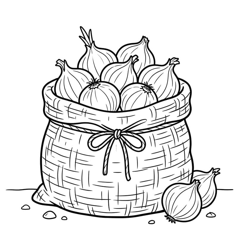 Løgsæk Tegninger til Farvelægning