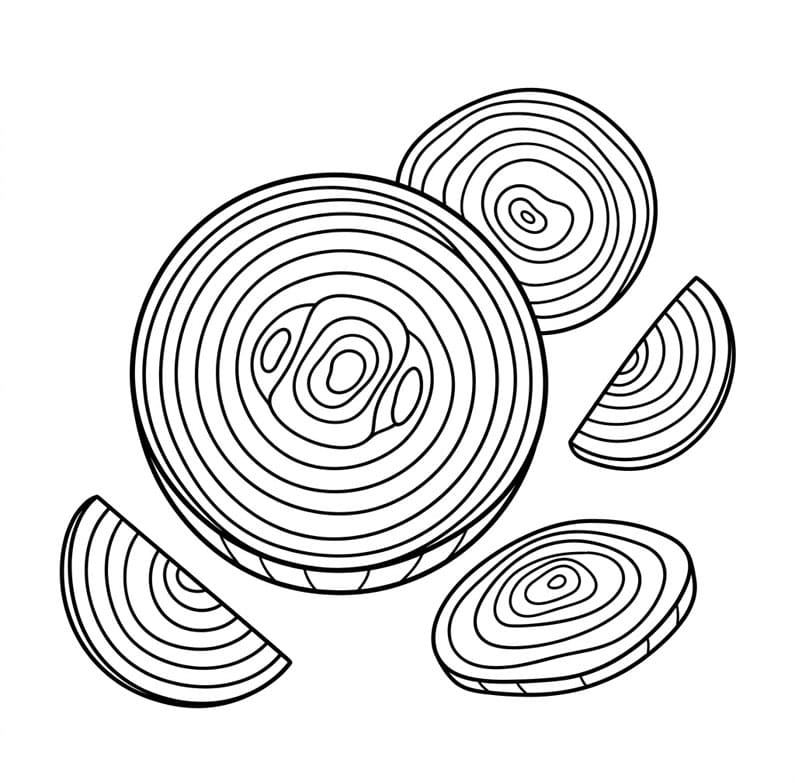 Løgskiver Tegninger til Farvelægning