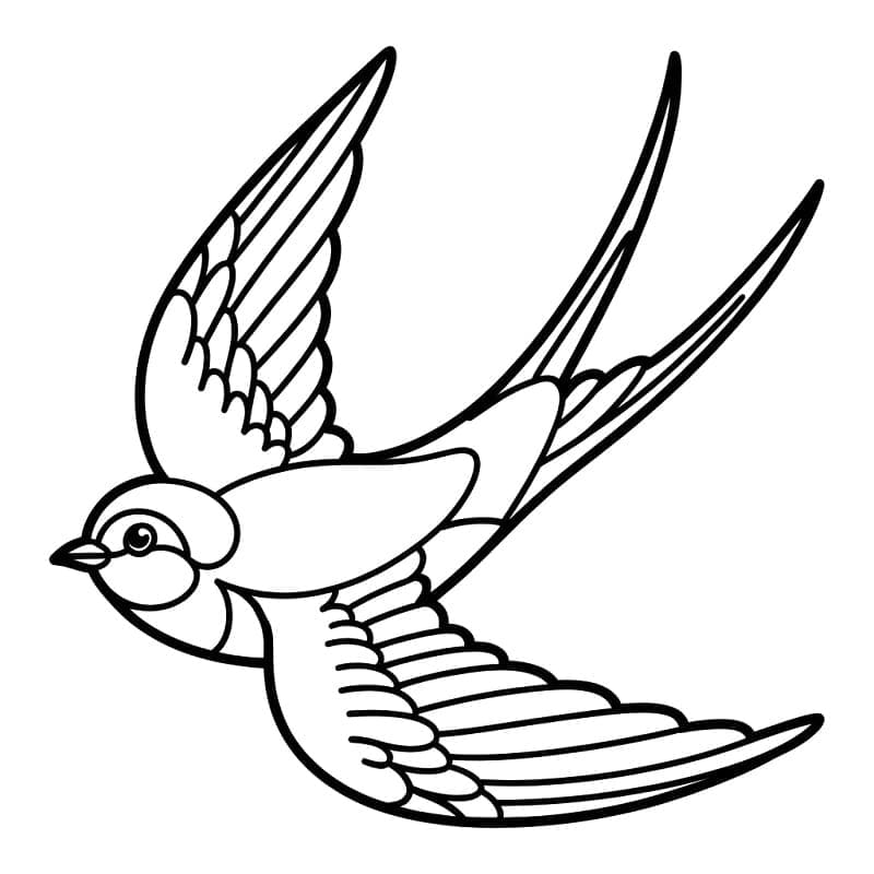 Normal svalefugl Tegninger til Farvelægning