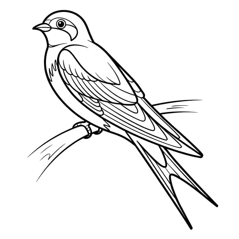 Normal synkning Tegninger til Farvelægning