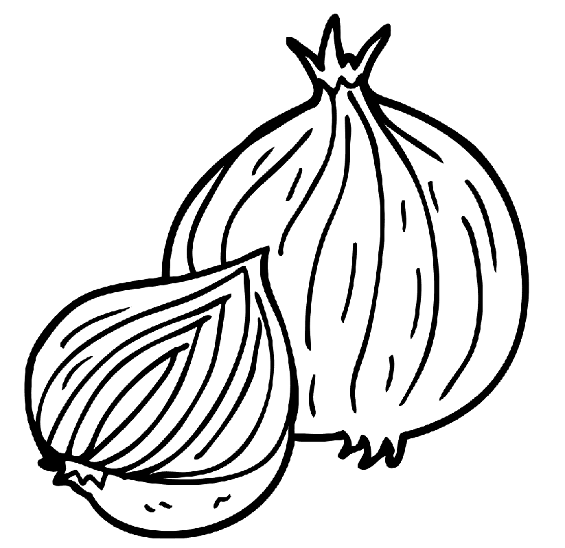 Rødløg Tegninger til Farvelægning