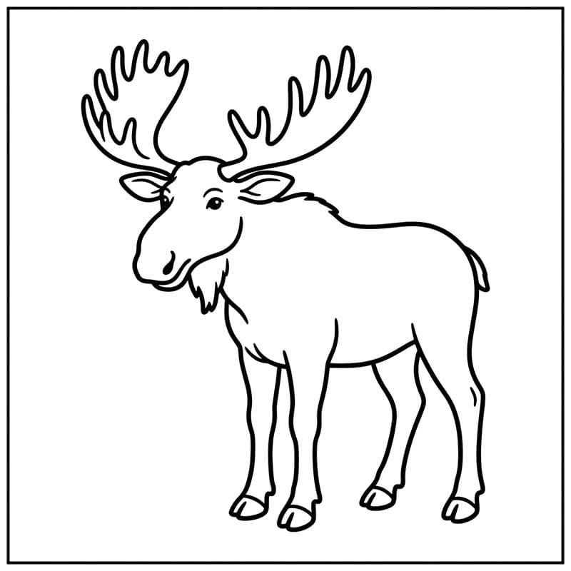 Rolig elg Tegninger til Farvelægning