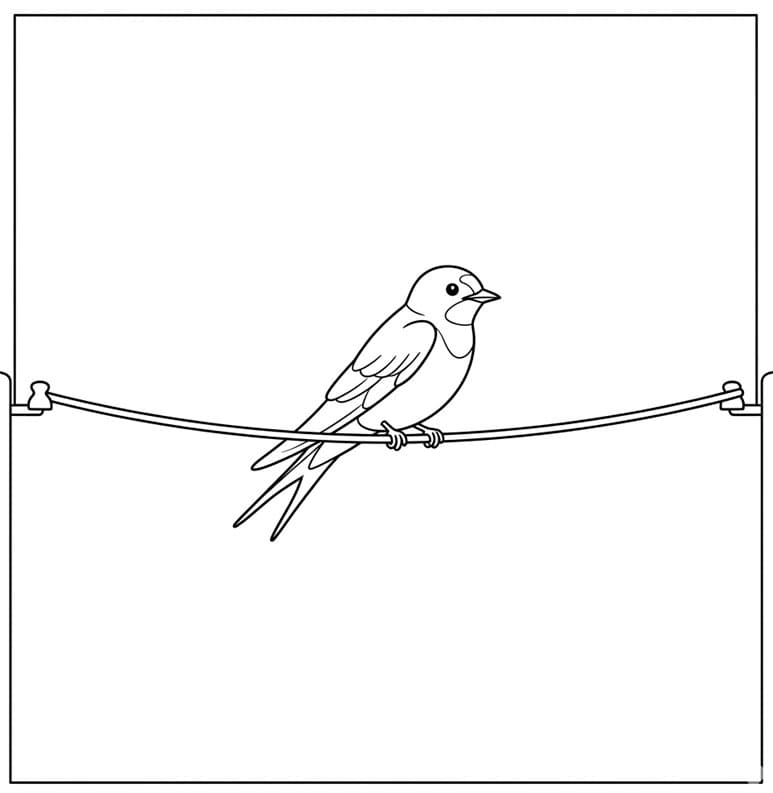 Rolig pause svale Tegninger til Farvelægning