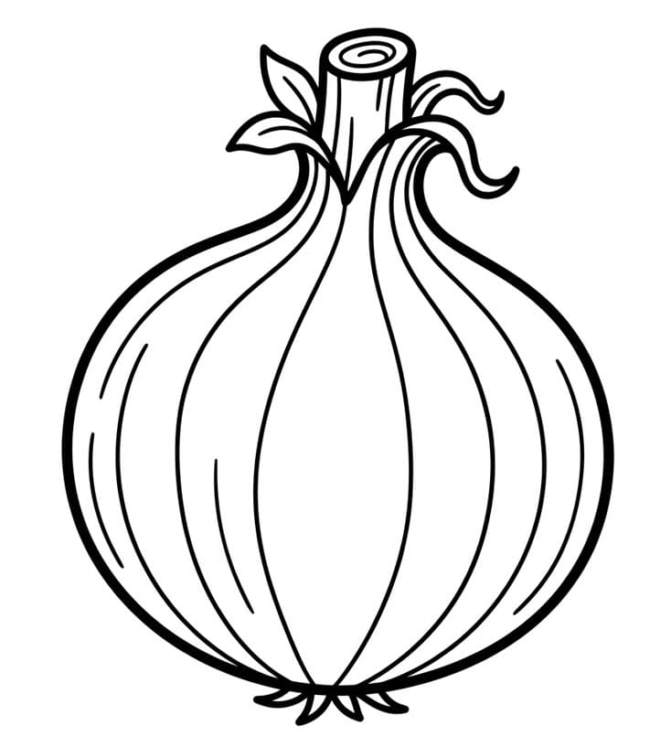 Løg Tegninger til Farvelægning