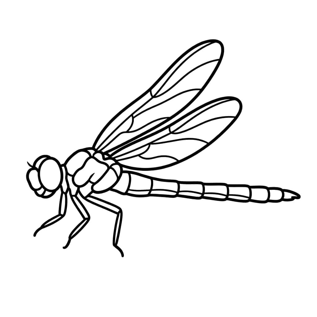 Side Guldsmed Tegninger til Farvelægning