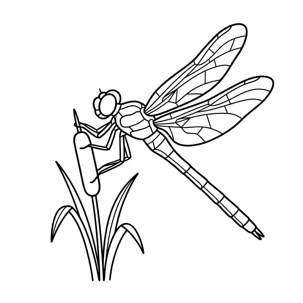 Guldsmed Tegninger til Farvelægning