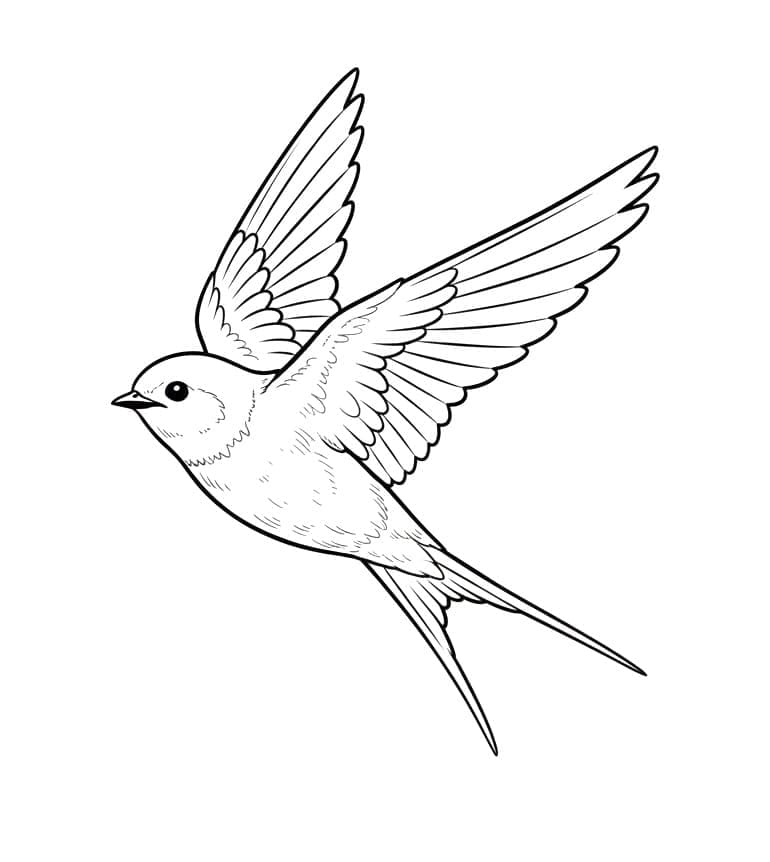 Slugefri Tegninger til Farvelægning