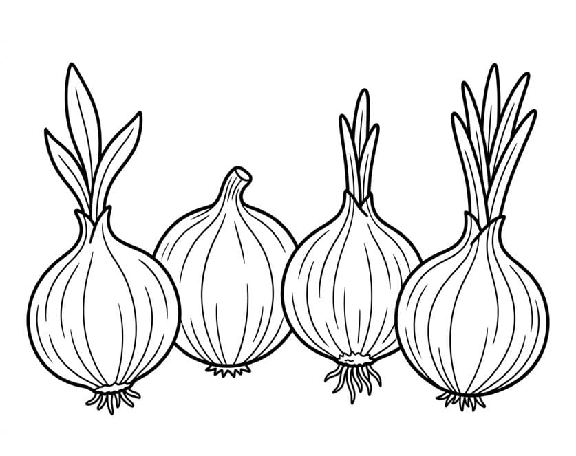 Små Løg Tegninger til Farvelægning