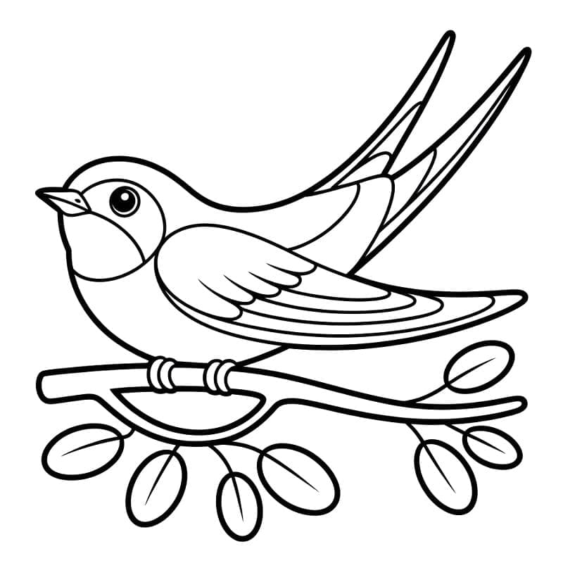 Smuk svale Tegninger til Farvelægning