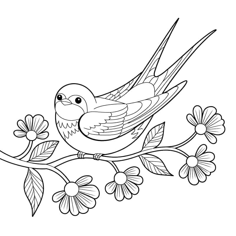 Smuk svalefugl Tegninger til Farvelægning