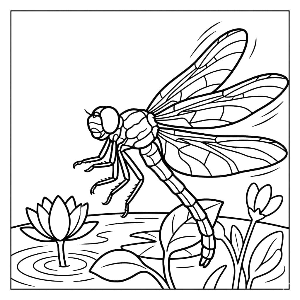 Sø Guldsmed Tegninger til Farvelægning