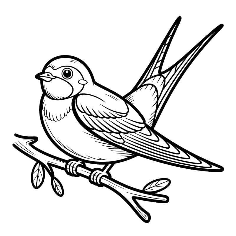 Sød svale Tegninger til Farvelægning