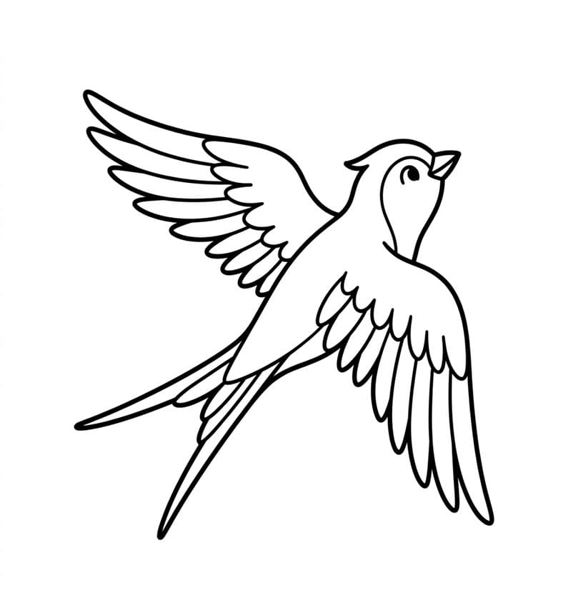 Stolt flugt Tegninger til Farvelægning