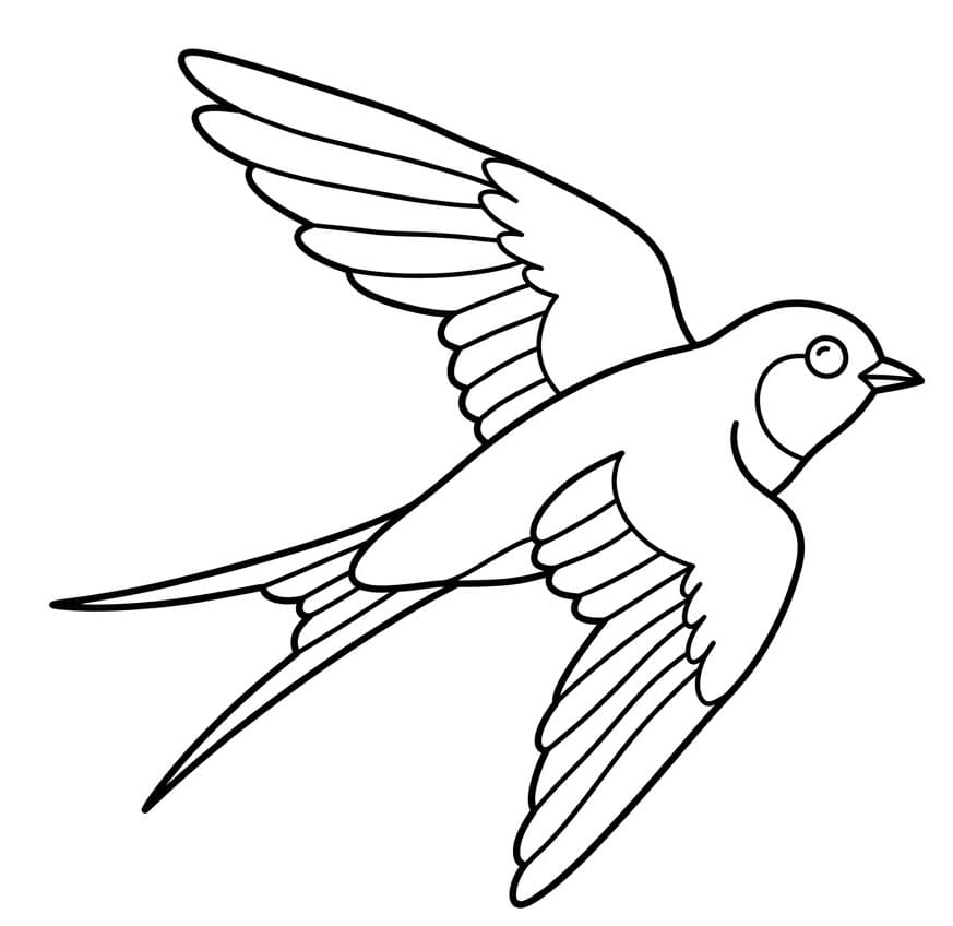 Svale i himlen Tegninger til Farvelægning