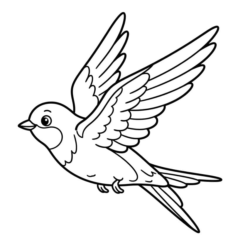 Svale i opstigning Tegninger til Farvelægning