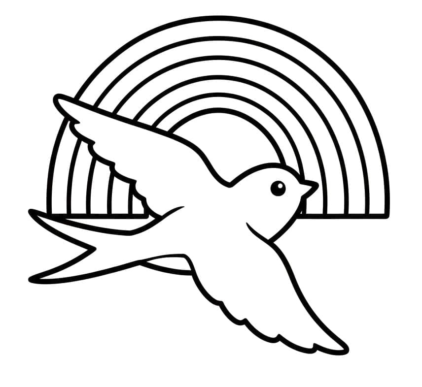 Svale og regnbue Tegninger til Farvelægning