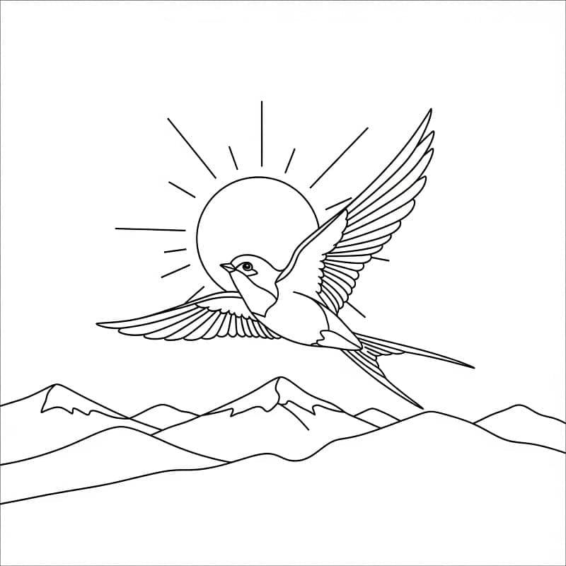 Svale og sol Tegninger til Farvelægning