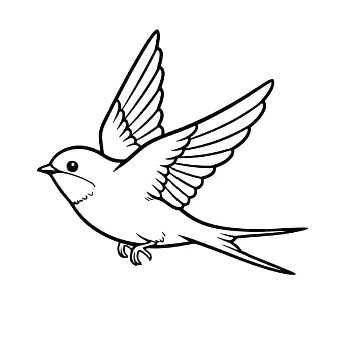 Svaler Tegninger til Farvelægning