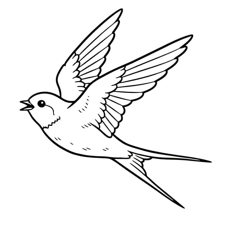 Svalen flyver Tegninger til Farvelægning
