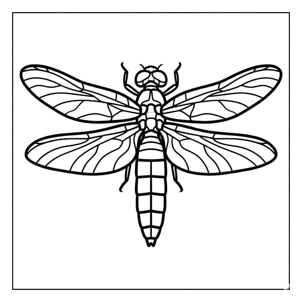Symmetrisk Guldsmed Tegninger til Farvelægning