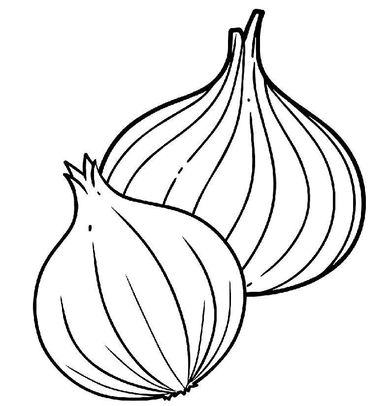 To løg Tegninger til Farvelægning