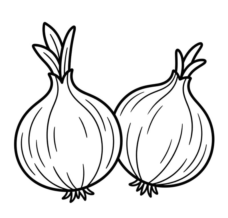 To Løg Sammen Tegninger til Farvelægning