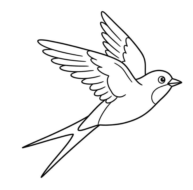 Yndefuld svale Tegninger til Farvelægning