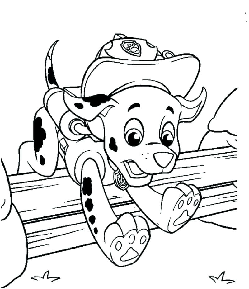 Paw Patrol Marshall Tegninger til Farvelægning