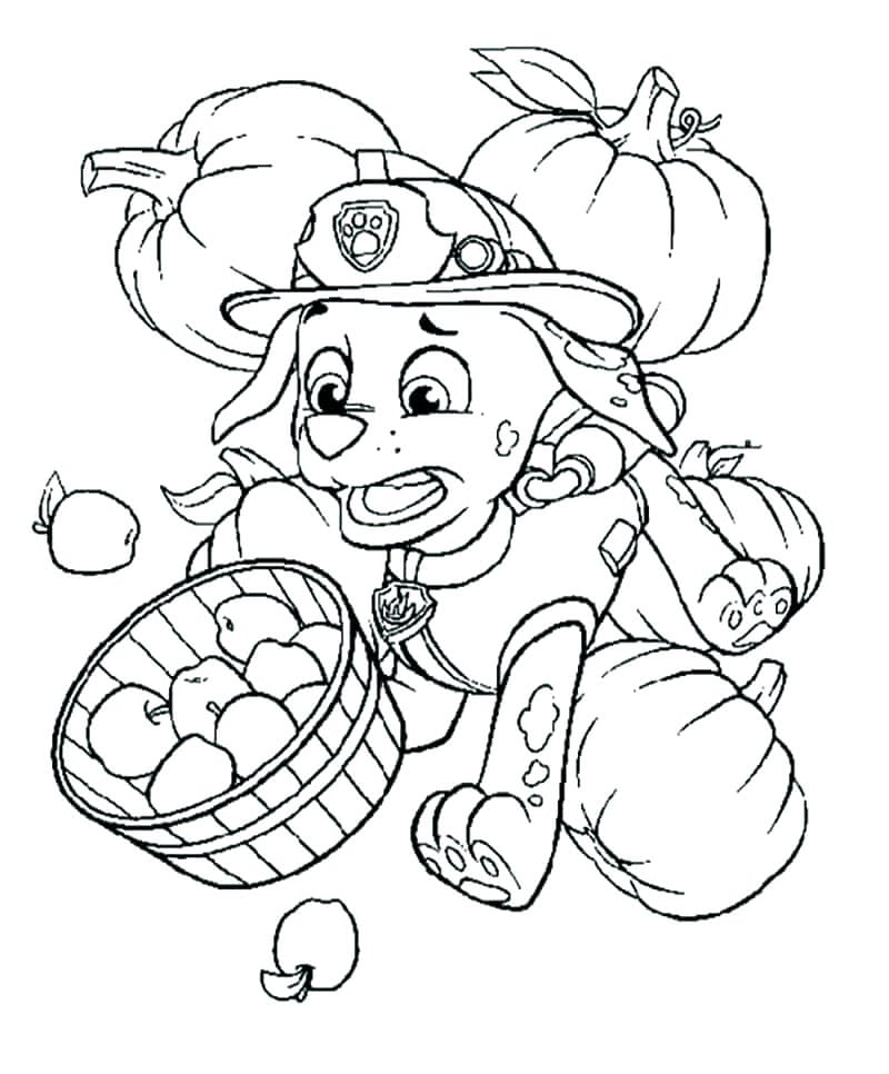 Sjove Marshall Paw Patrol Tegninger til Farvelægning