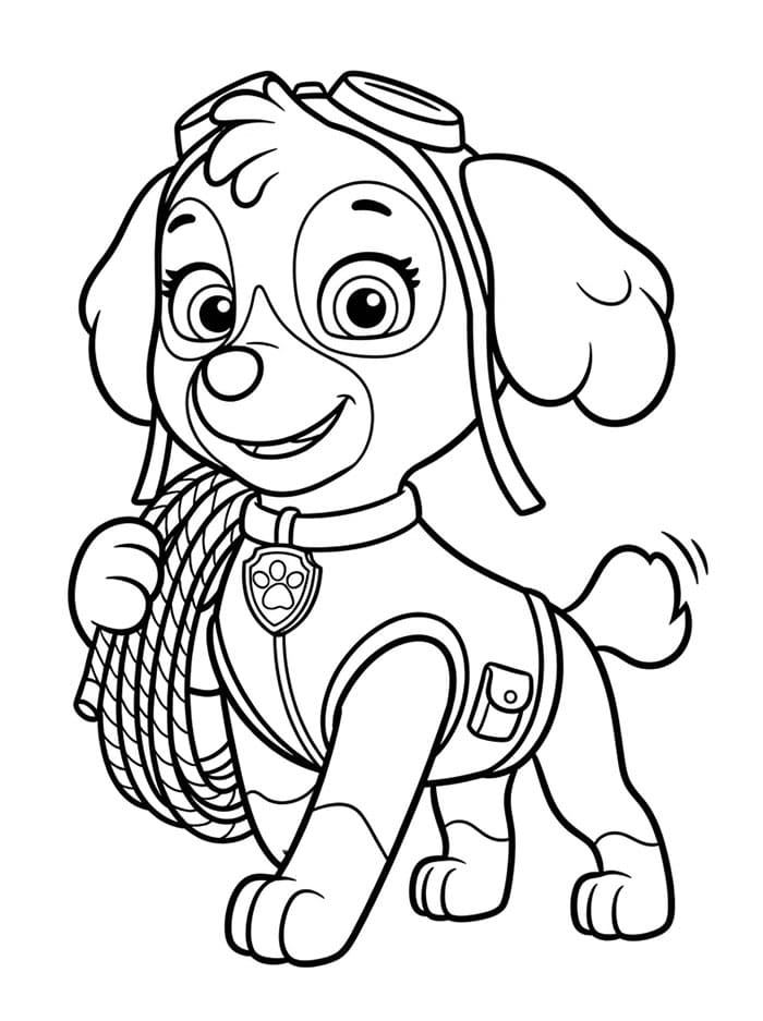 Skye Paw Patrol bærer reb Tegninger til Farvelægning