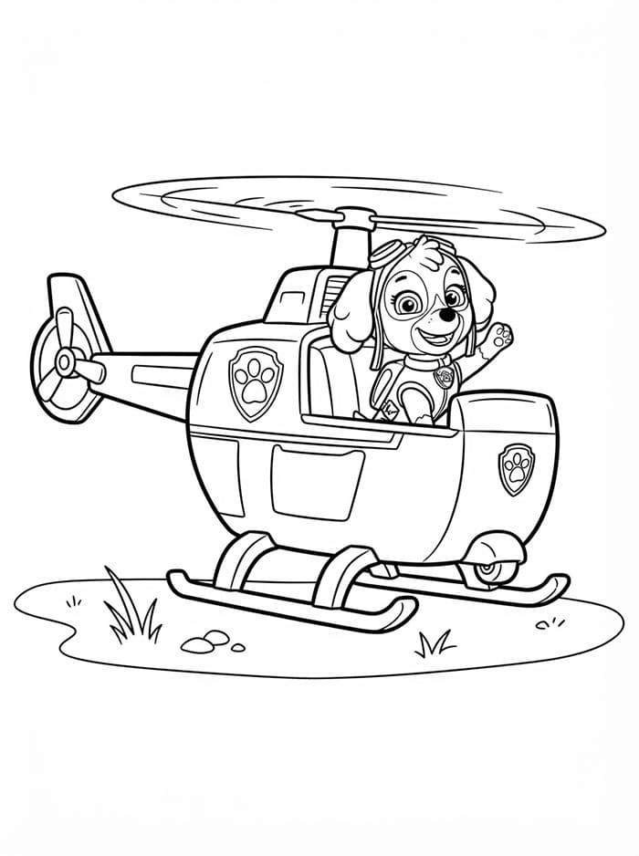 Skye Paw Patrol lander Tegninger til Farvelægning