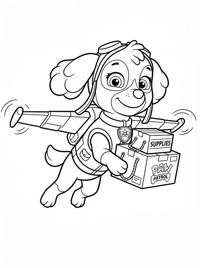Skye Paw Patrol leverer forsyninger Tegninger til Farvelægning
