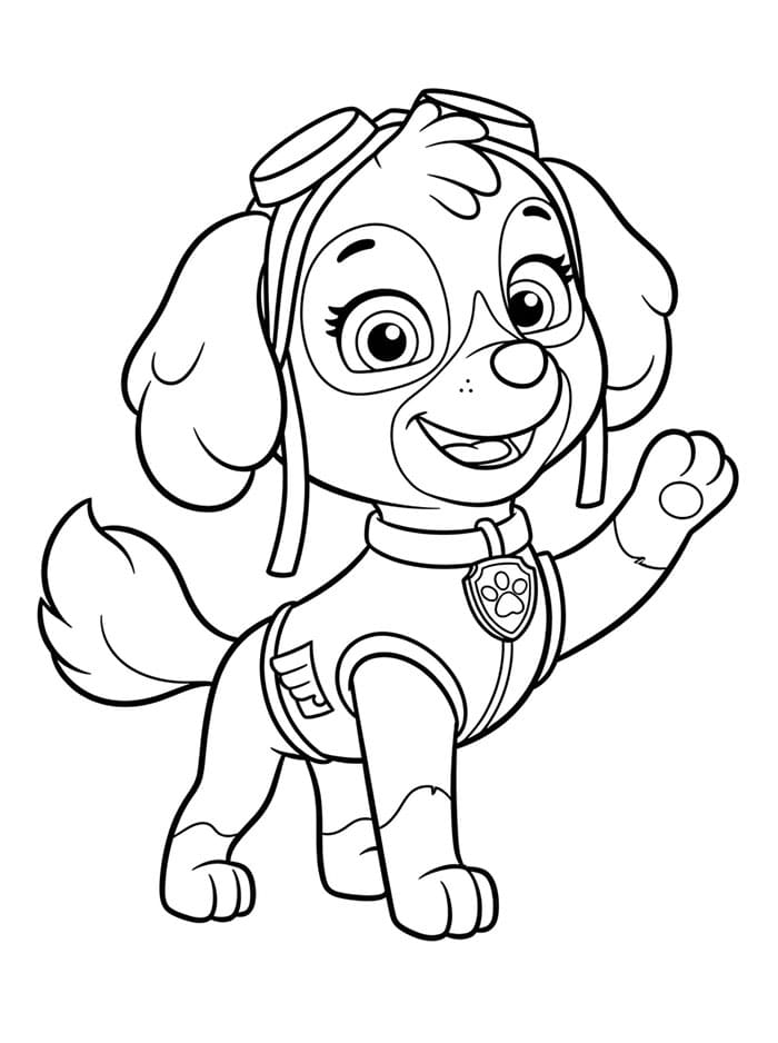 Skye Paw Patrol Tegninger til Farvelægning