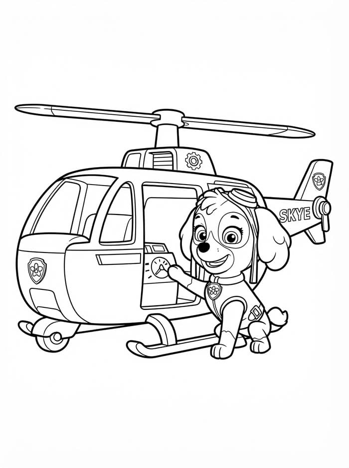 Skye Paw Patrol tjekker Tegninger til Farvelægning