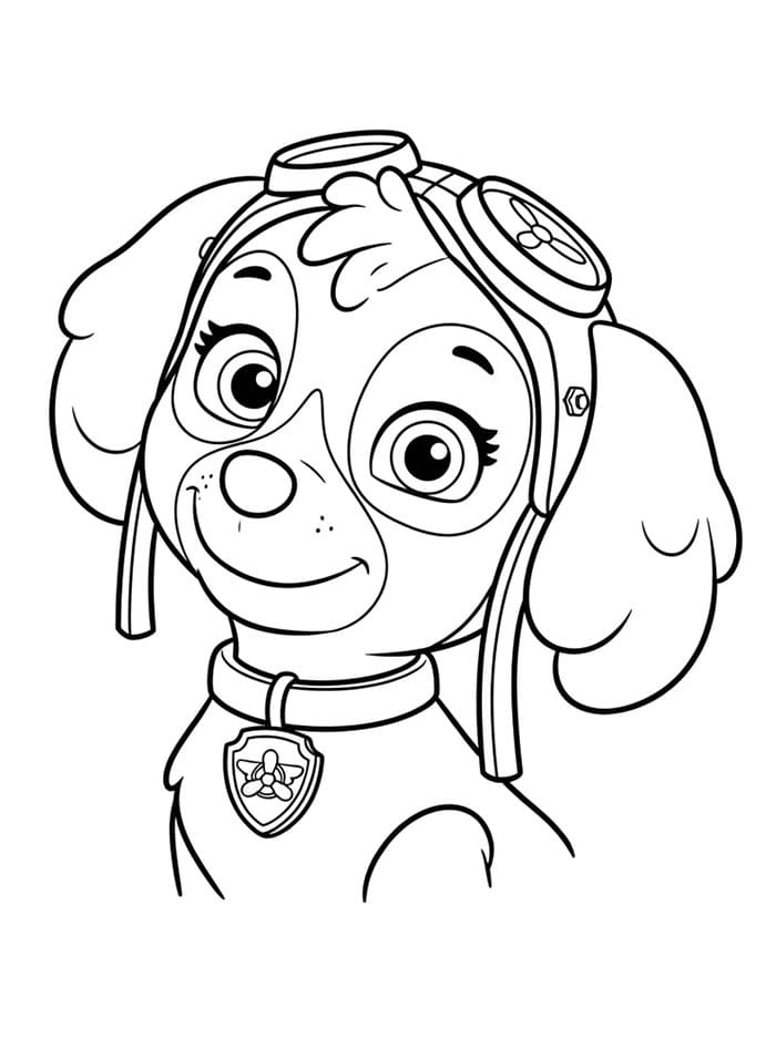 Skye Paw Patrol vipper Tegninger til Farvelægning