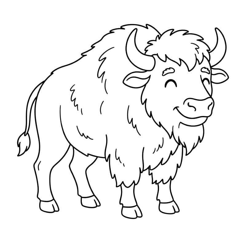 Bison Tegninger til Farvelægning