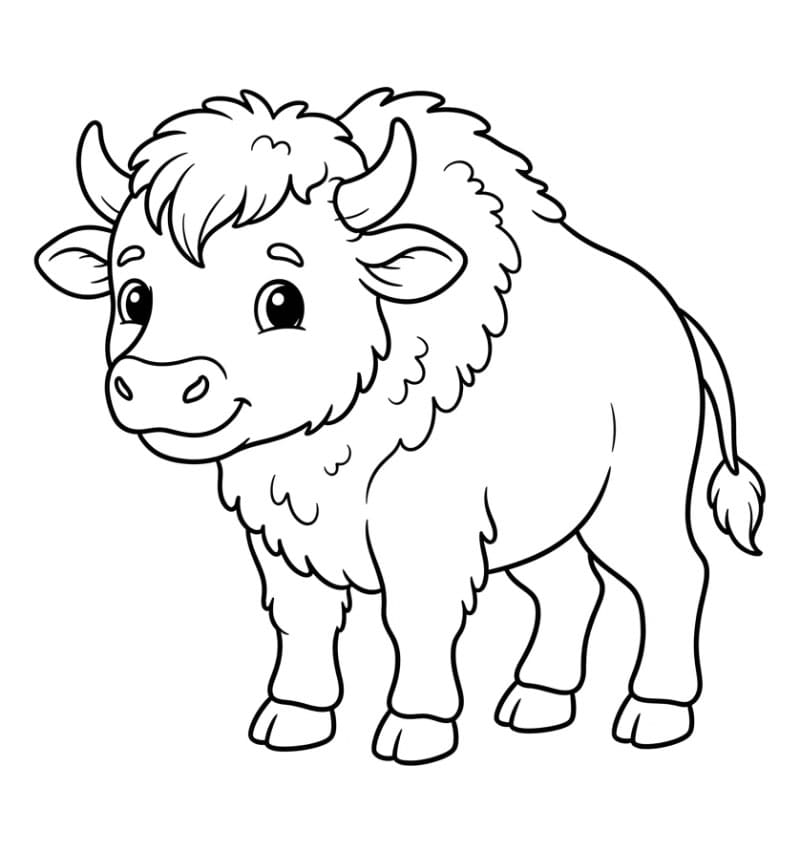 Sød babybison Tegninger til Farvelægning
