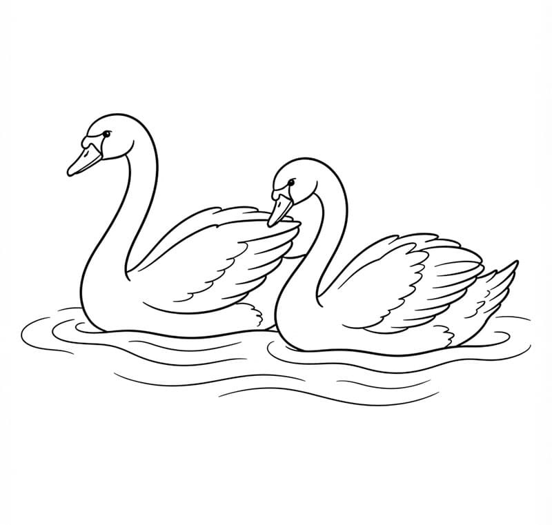 To svaner Tegninger til Farvelægning