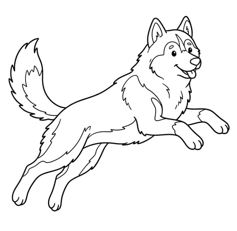 Husky der springer Tegninger til Farvelægning