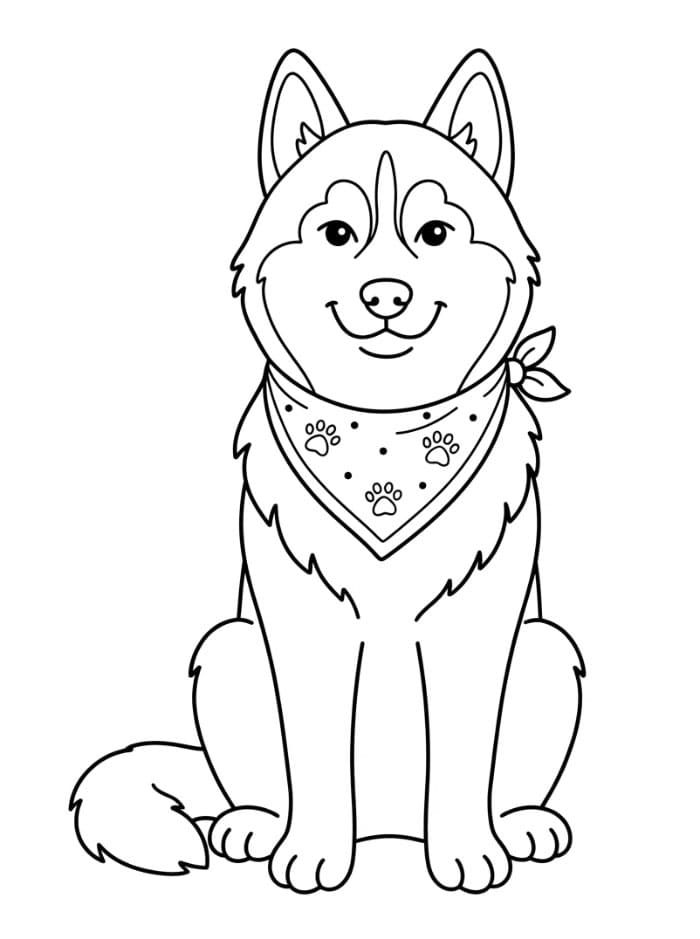 Husky med bandana Tegninger til Farvelægning