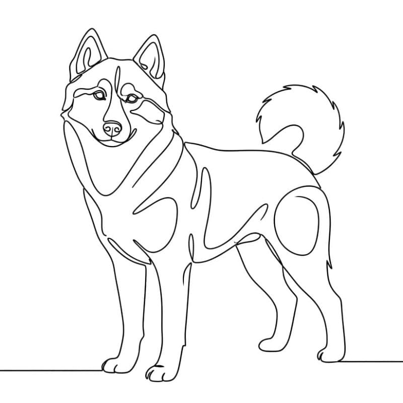 Omrids af husky Tegninger til Farvelægning