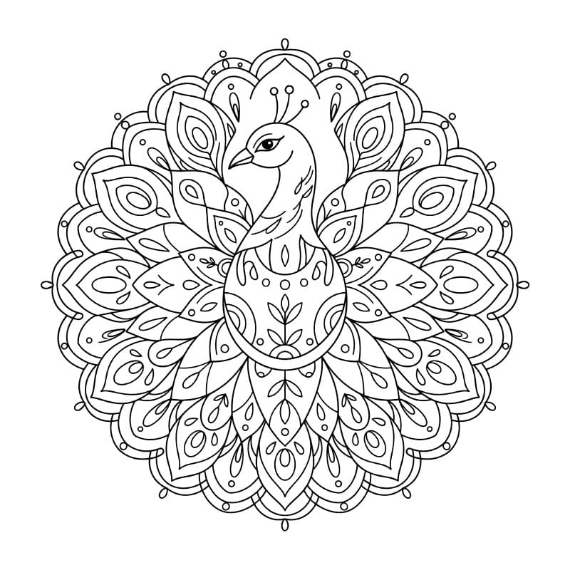 Påfugl Mandala Tegninger til Farvelægning